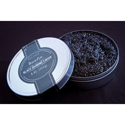 Bowfin Caviar - 8oz Tin