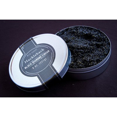 Hackleback Caviar - 8oz Tin